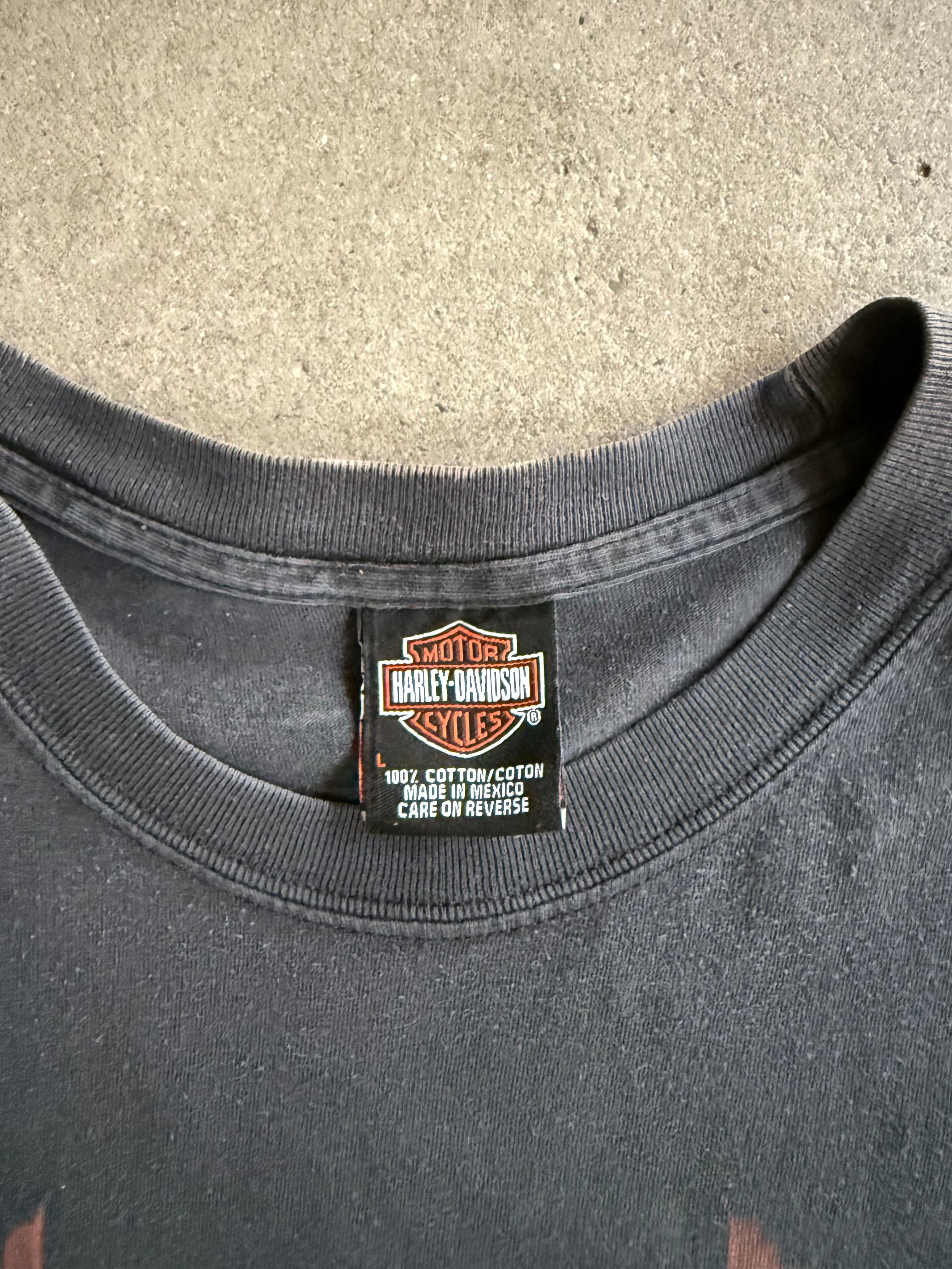 2000S HARLEY DAVIDSON NEW MEXICO FADED BLACK T-SHIRT (L)