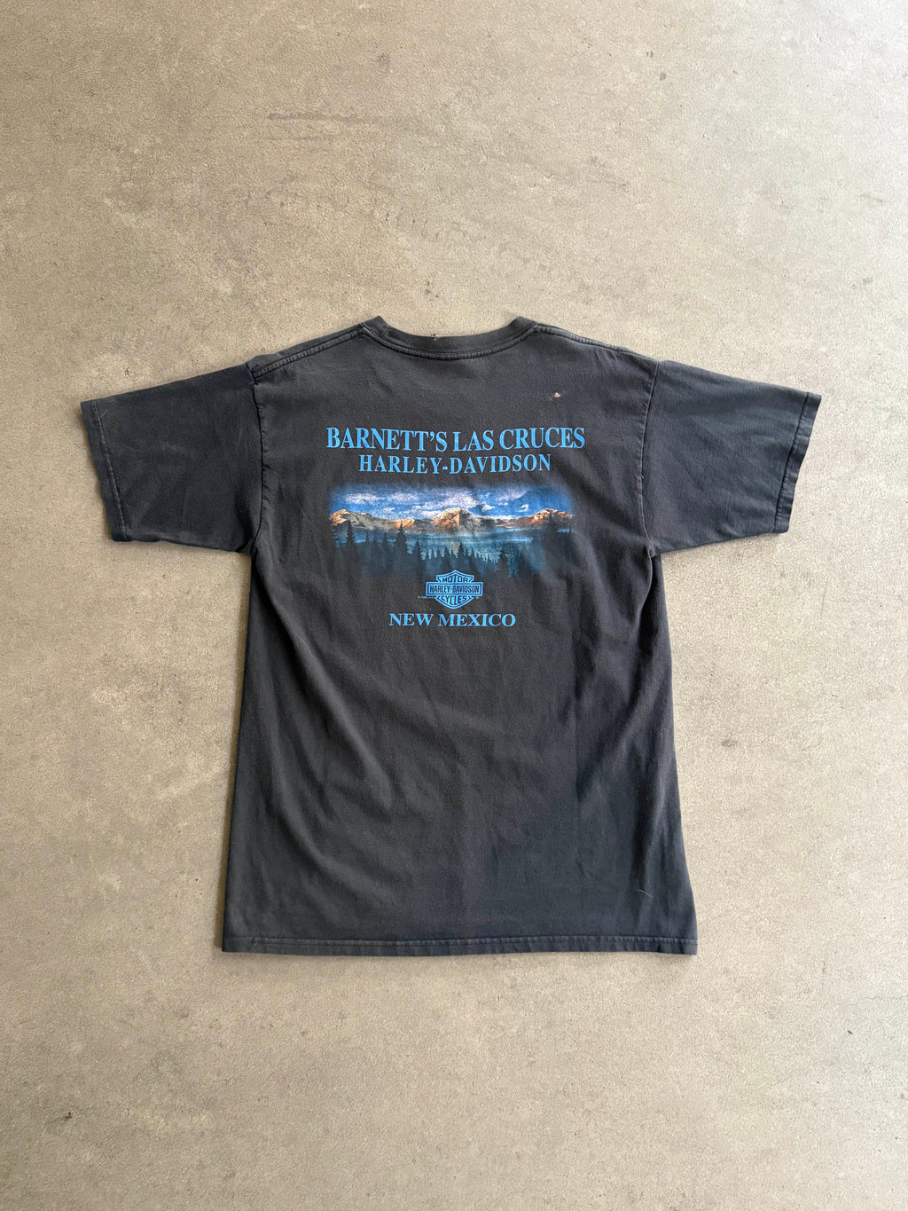 2000S HARLEY DAVIDSON NEW MEXICO FADED BLACK T-SHIRT (L)