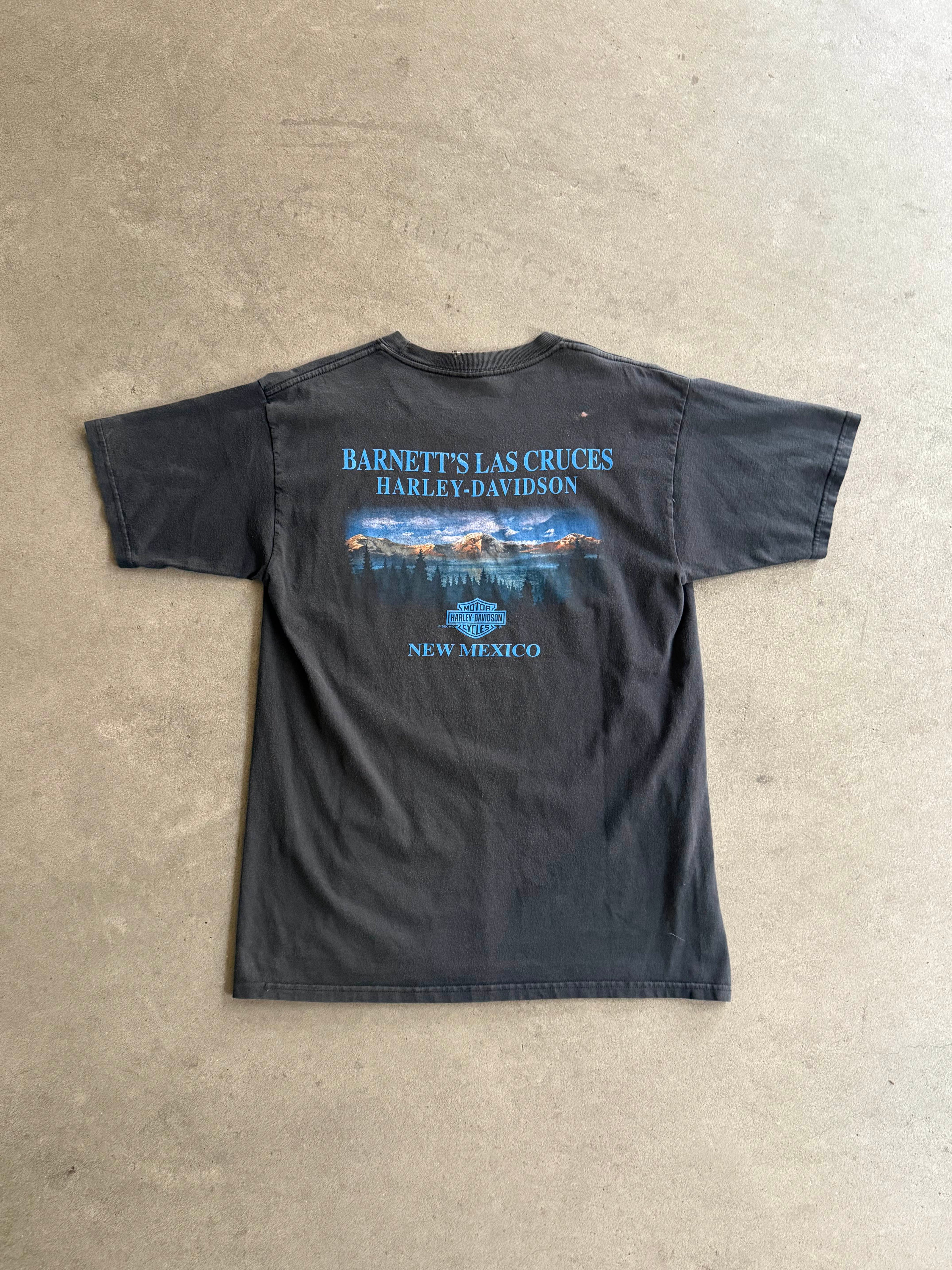 2000S HARLEY DAVIDSON NEW MEXICO FADED BLACK T-SHIRT (L)