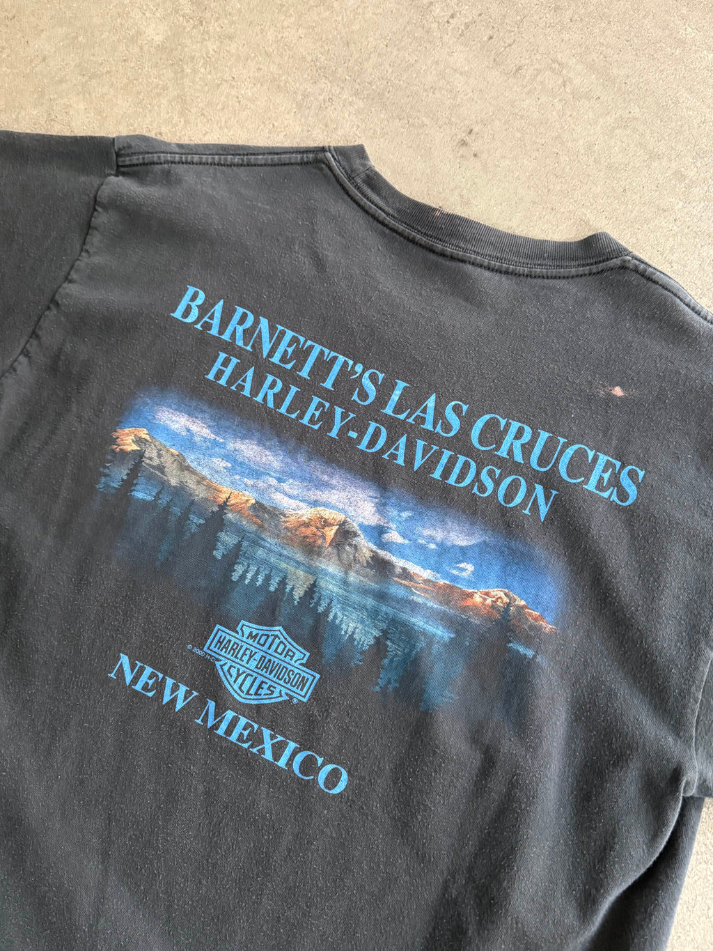 2000S HARLEY DAVIDSON NEW MEXICO FADED BLACK T-SHIRT (L)