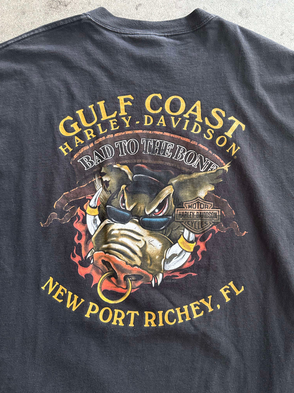 2000S HARLEY DAVIDSON GULF COAST "BAD TO THE BONE" T-SHIRT (XL)