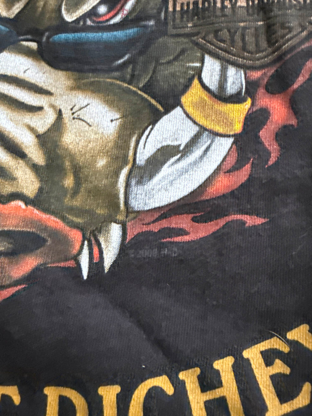 2000S HARLEY DAVIDSON GULF COAST "BAD TO THE BONE" T-SHIRT (XL)
