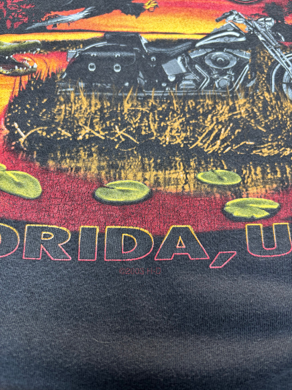2003 VINTAGE HARLEY DAVIDSON ORLANDO BIKE WEEK GRAPHIC TEE (XL)