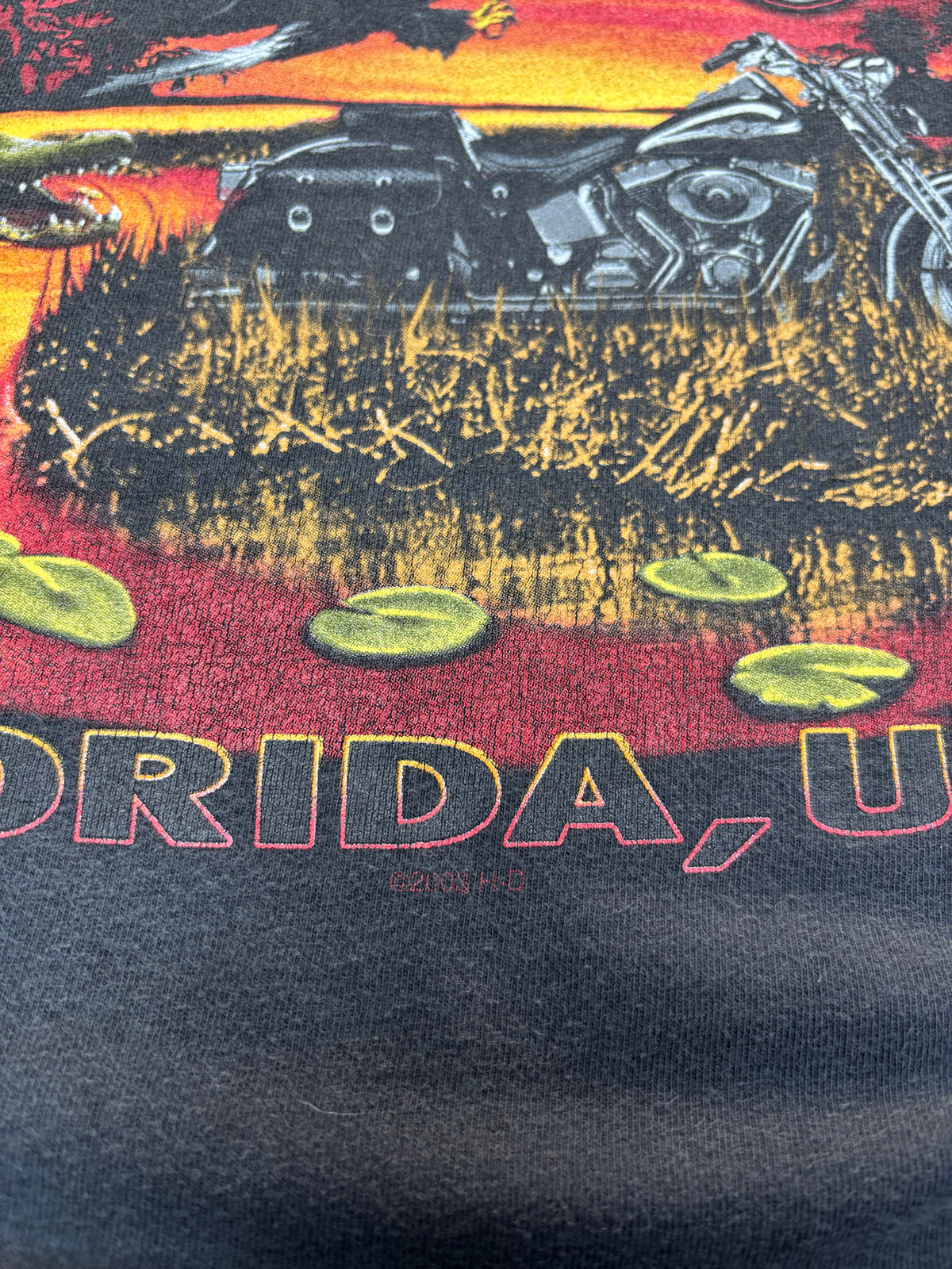 2003 VINTAGE HARLEY DAVIDSON ORLANDO BIKE WEEK GRAPHIC TEE (XL)