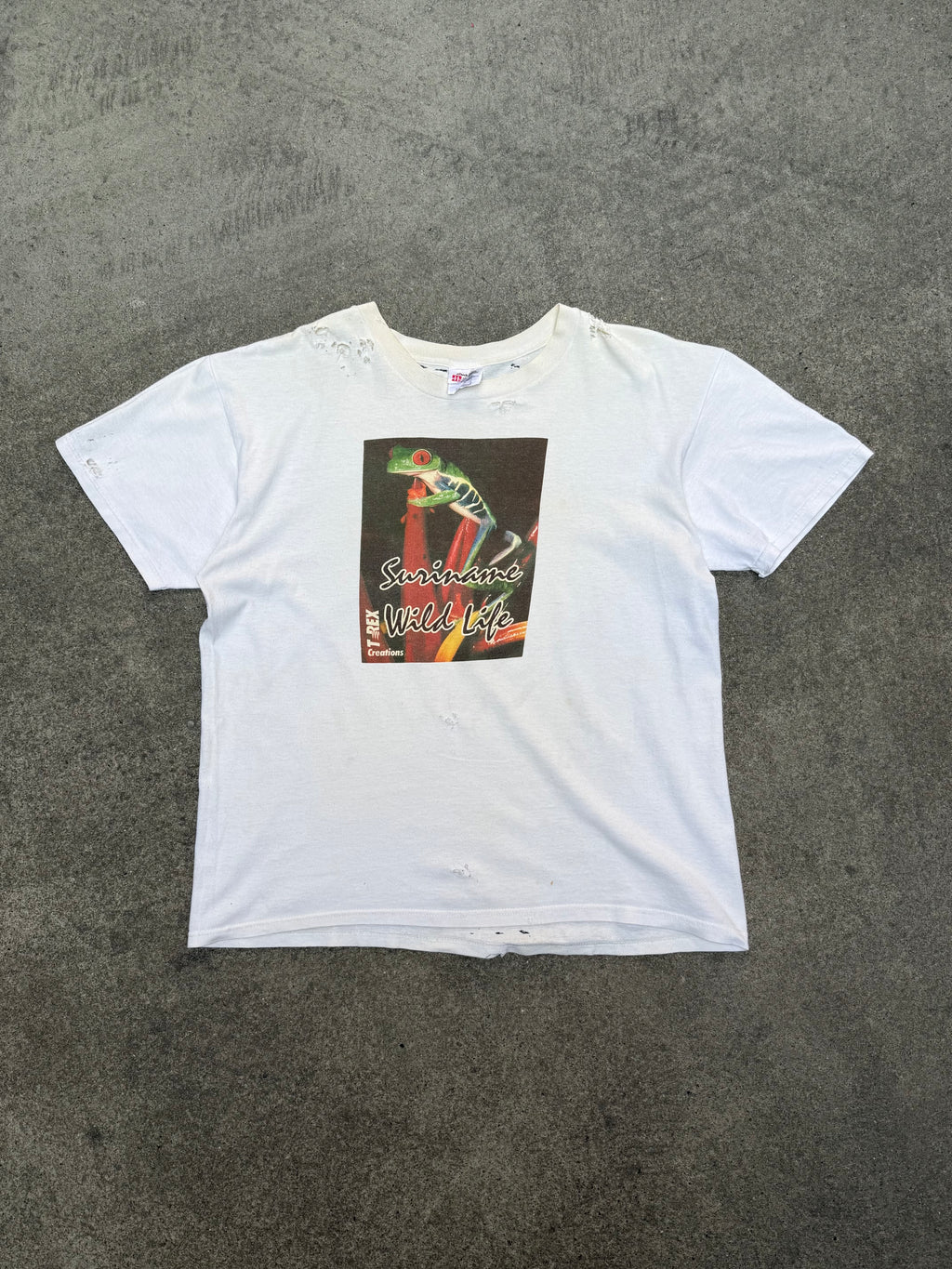 1990S VINTAGE SURINAME WILDLIFE TREE FROG GRAPHIC TEE (L)