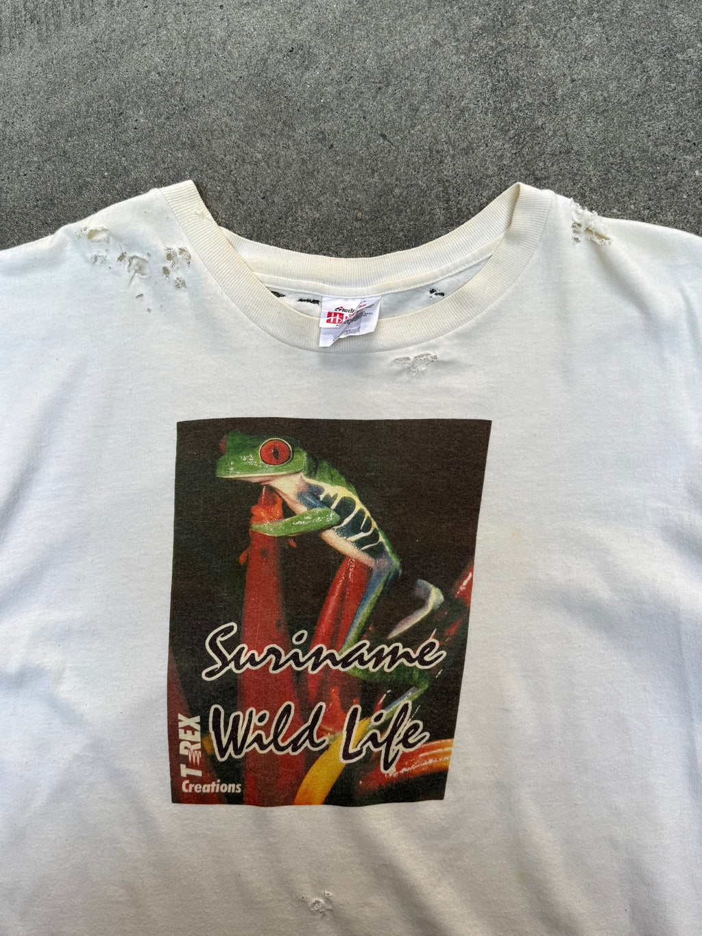 1990S VINTAGE SURINAME WILDLIFE TREE FROG GRAPHIC TEE (L)