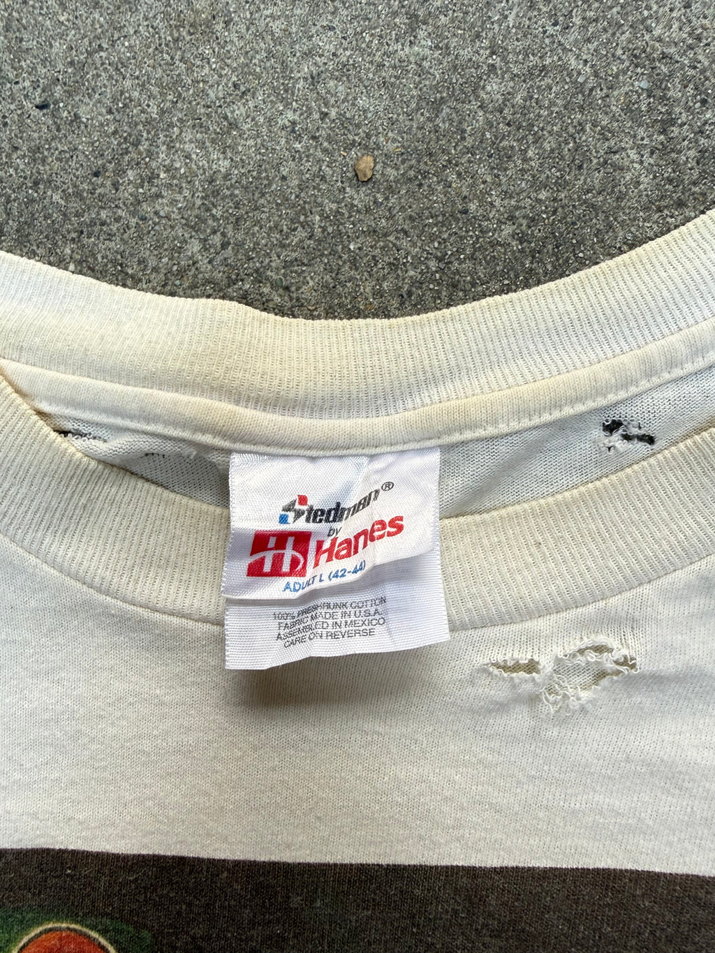 1990S VINTAGE SURINAME WILDLIFE TREE FROG GRAPHIC TEE (L)
