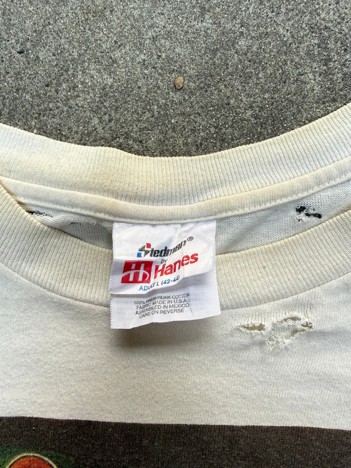1990S VINTAGE SURINAME WILDLIFE TREE FROG GRAPHIC TEE (L)