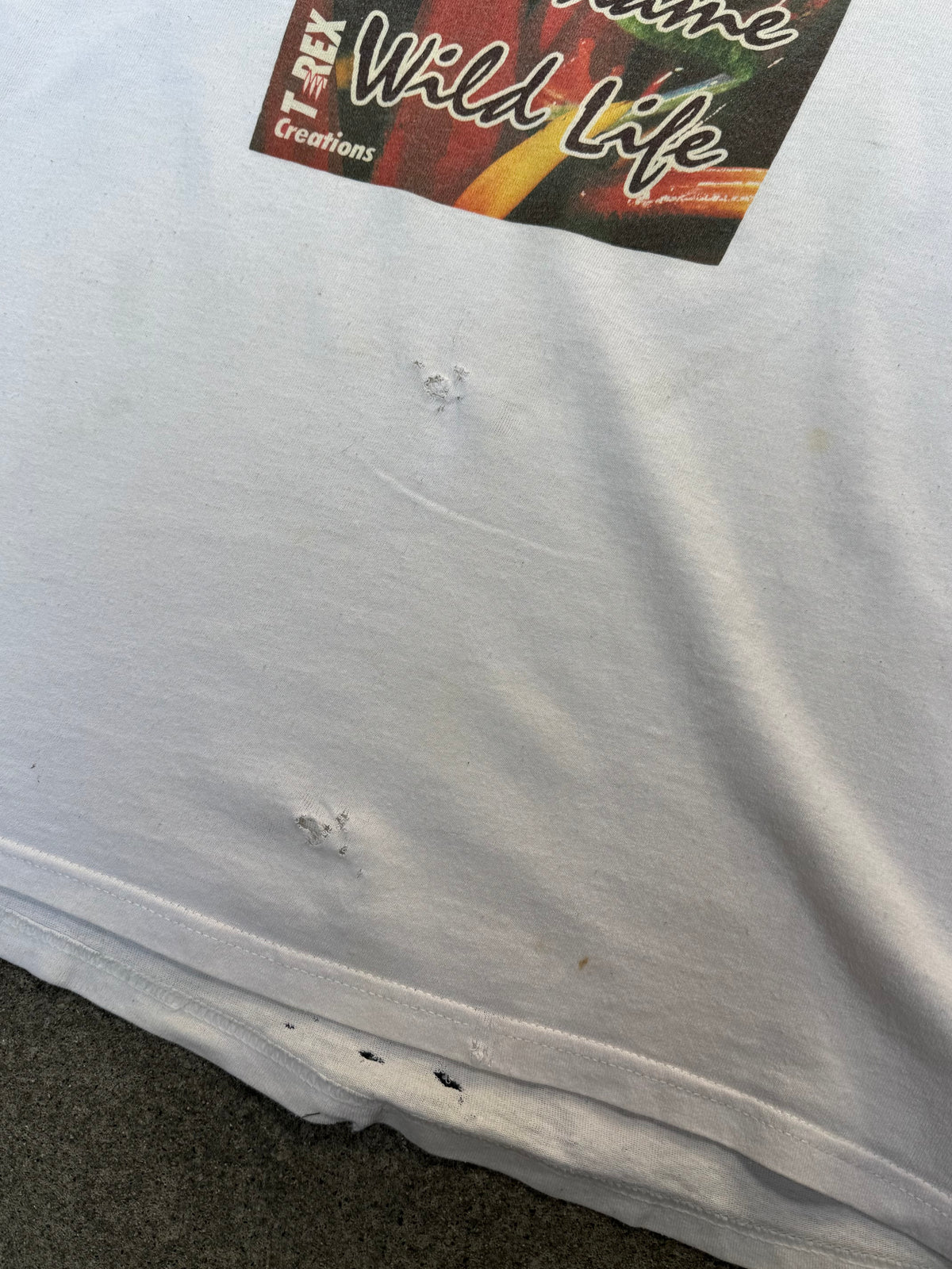 1990S VINTAGE SURINAME WILDLIFE TREE FROG GRAPHIC TEE (L)