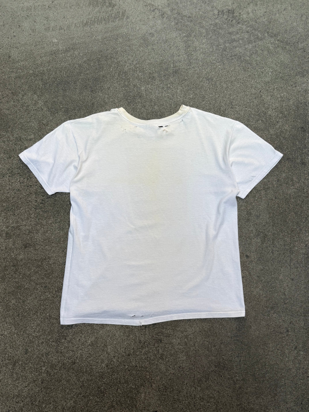 1990S VINTAGE SURINAME WILDLIFE TREE FROG GRAPHIC TEE (L)