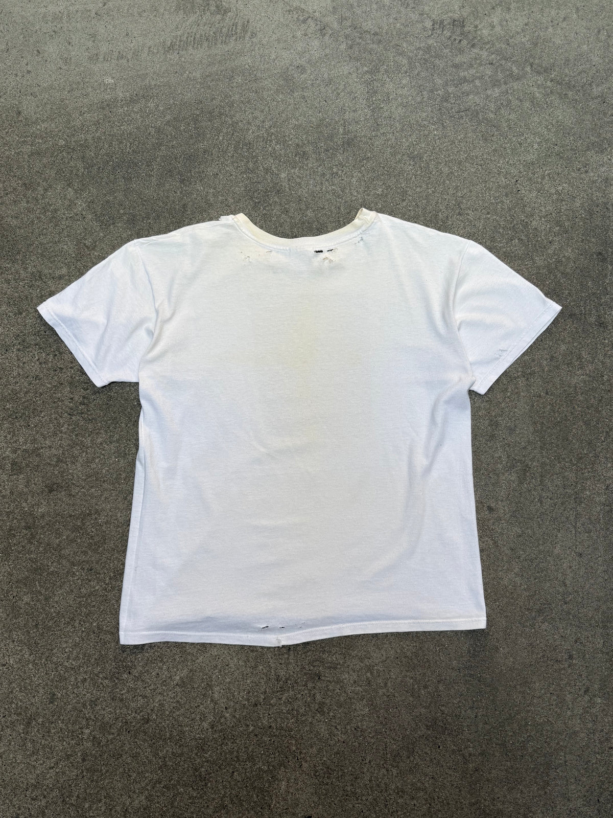 1990S VINTAGE SURINAME WILDLIFE TREE FROG GRAPHIC TEE (L)