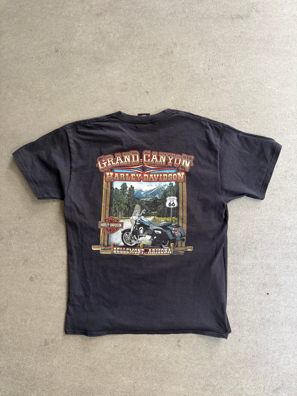 2000S HARLEY DAVIDSON GRAND CANYON, ARIZONA T-SHIRT (L)