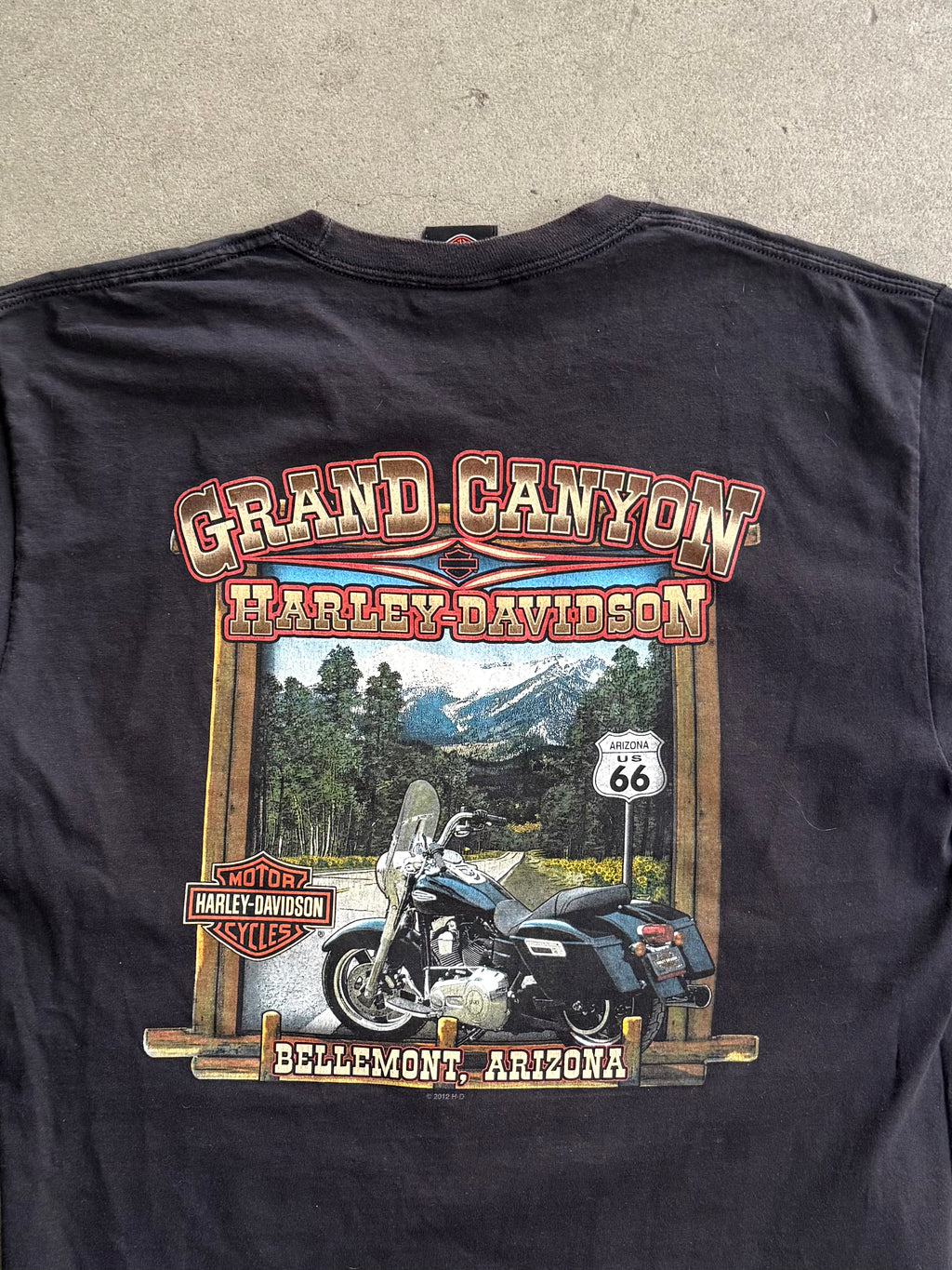 2000S HARLEY DAVIDSON GRAND CANYON, ARIZONA T-SHIRT (L)