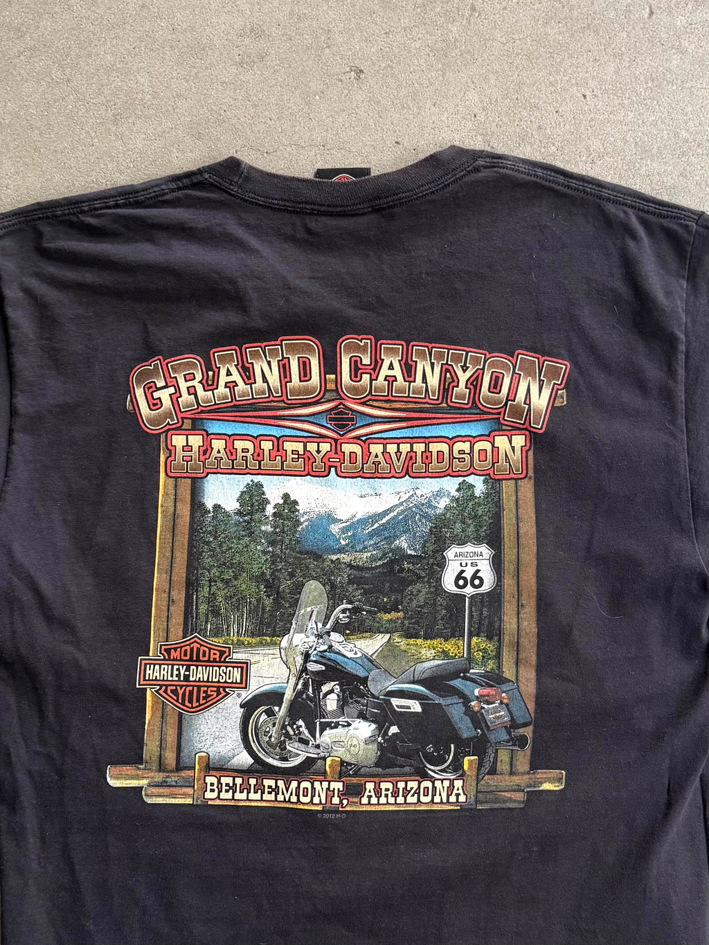 2000S HARLEY DAVIDSON GRAND CANYON, ARIZONA T-SHIRT (L)