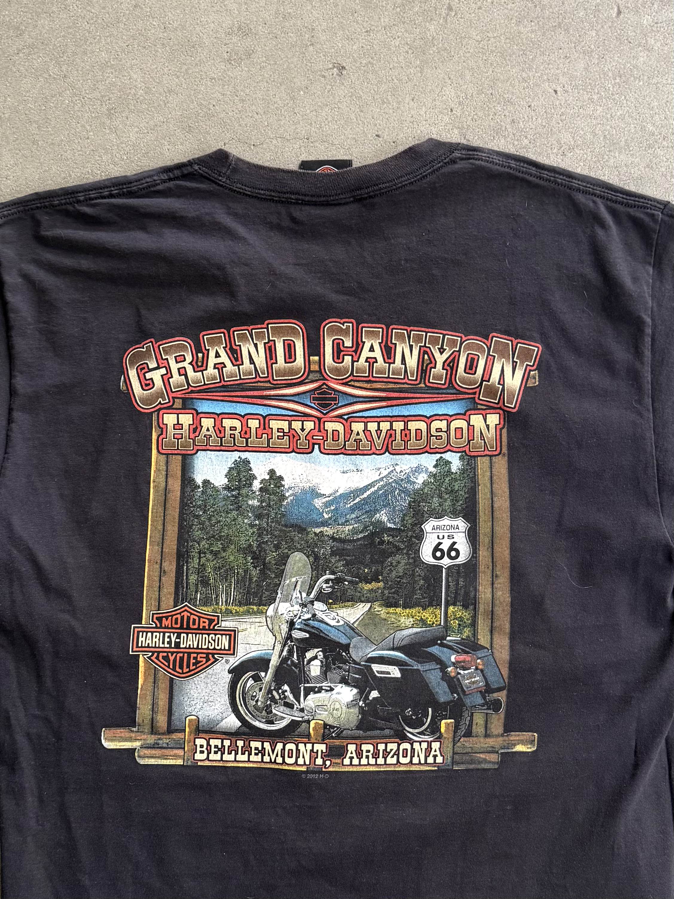 2000S HARLEY DAVIDSON GRAND CANYON, ARIZONA T-SHIRT (L)