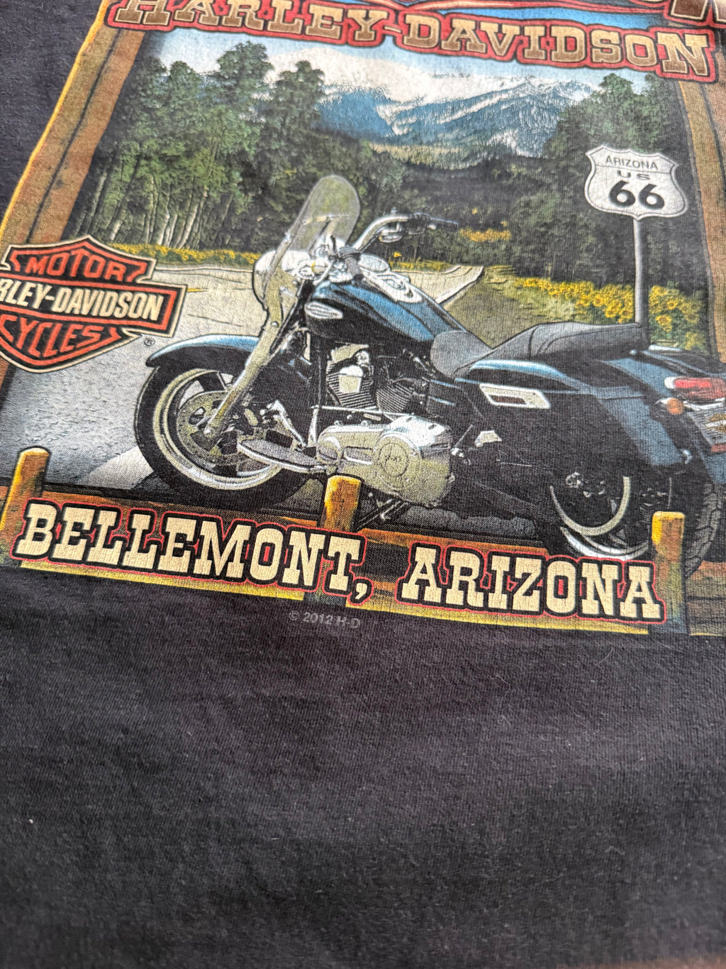 2000S HARLEY DAVIDSON GRAND CANYON, ARIZONA T-SHIRT (L)