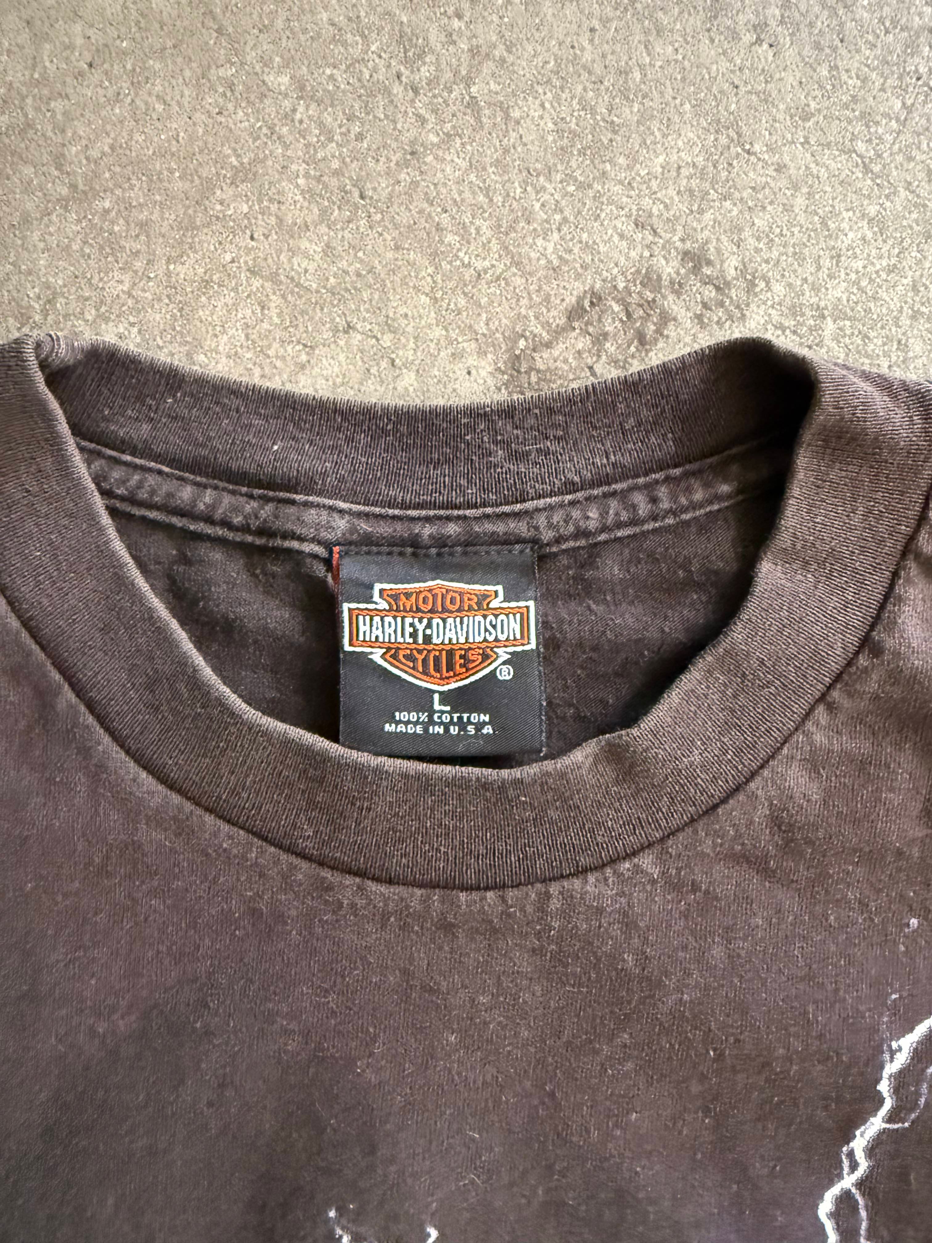 1999 HARLEY DAVIDSON LIGHTING LOGO MONTPELLIER T-SHIRT (L)