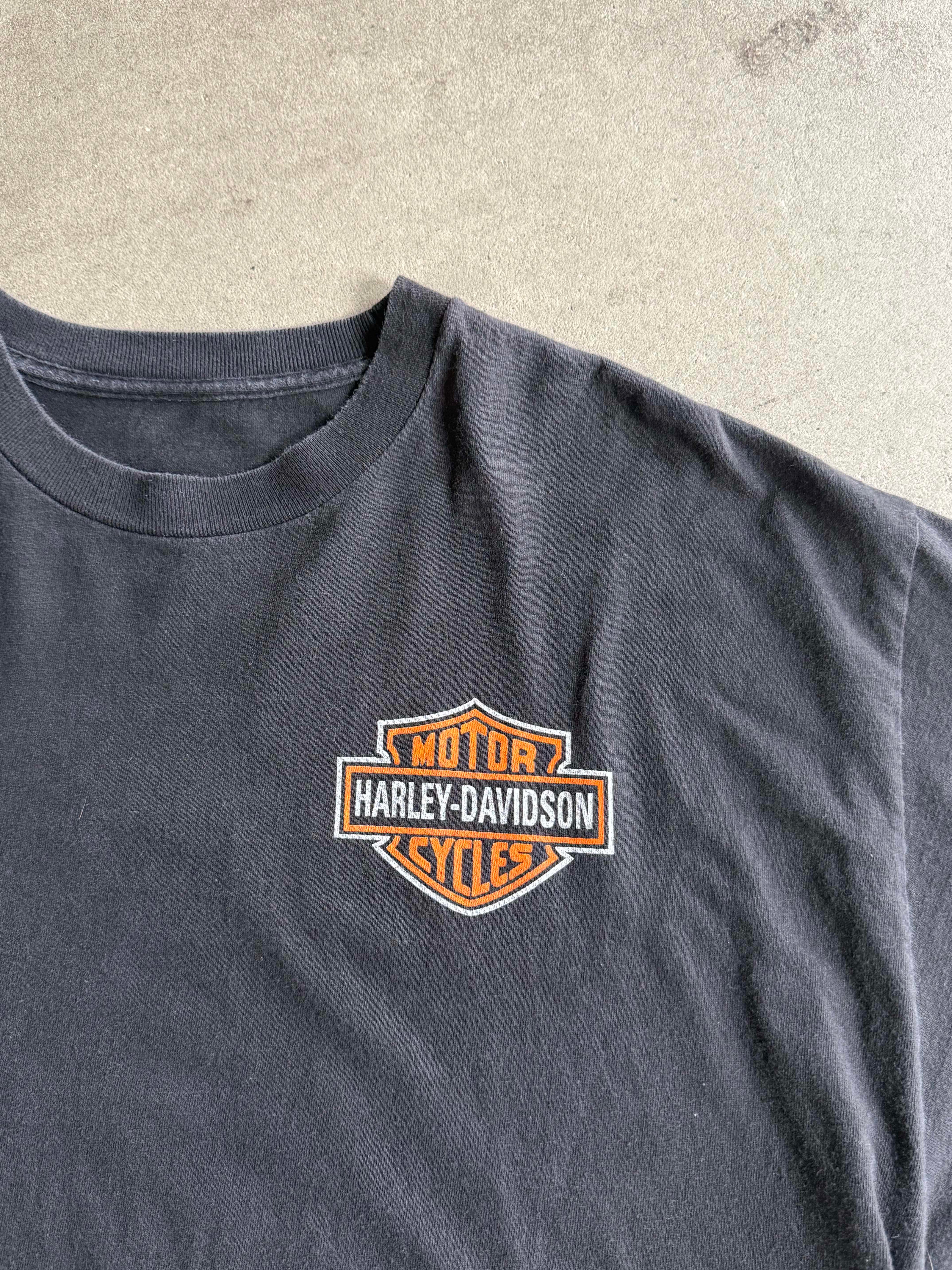 2000S HARLEY DAVIDSON FLAMES LOGO VINTAGE T-SHIRT (XL)